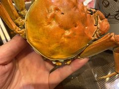 -以前的小酒馆(中山广场店)