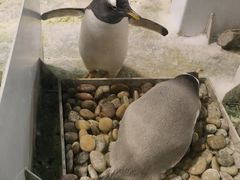 -大连圣亚海洋世界