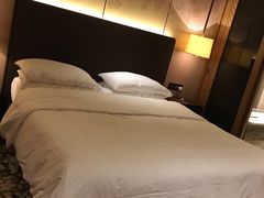 -上海崇明金茂凯悦酒店