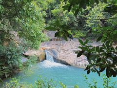 -广州白江湖森林公园