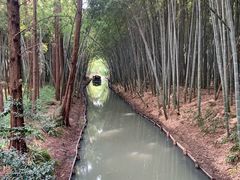 -同里国家湿地公园