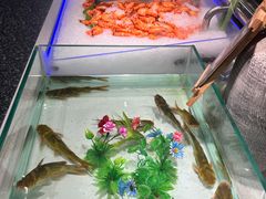 -釜盛海鲜烤肉火锅自助料理(正义坊购物中心店)