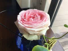 -盐官日光域房车营地·有盐餐厅