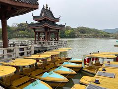 -惠州西湖丰渚园