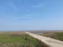 -南汇嘴观海公园