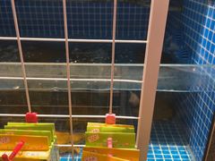 -涿派·炝锅鱼(涿州店)