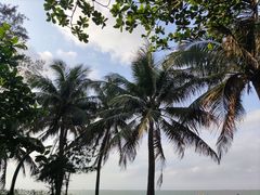 -西秀海滩公园
