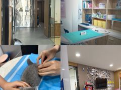 -艾贝尔宠物医院·24H转诊中心·肿瘤猫专科(江宁双龙店)