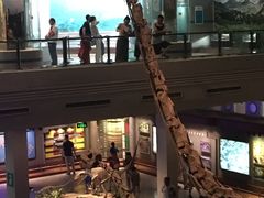 -自贡恐龙博物馆