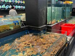 -龙宴海鲜城(经中路店)