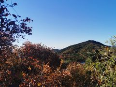 -北京西山国家森林公园