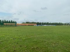 -春花秋色城市公园