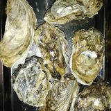 烤生蚝。烤扇贝。羊肉串。不说了