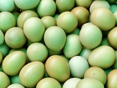 -陶祖圣境风景区