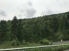 -塞罕坝国家级自然保护区