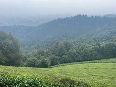 -敬亭山风景名胜区