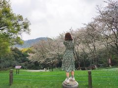 -中国茶叶博物馆(双峰馆区)