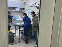 -爱妮康宠物医院·干细胞免疫细胞·肿瘤·心脏(张江店)