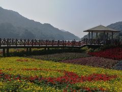 -广州市石门国家森林公园