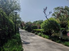 -元大都城垣遗址公园