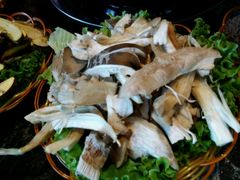 -菌海森林·非遗野生菌火锅(西山区滇池路摩根道店)