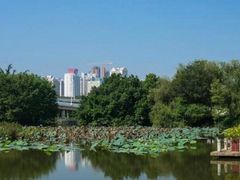 -人民公园(罗湖区)