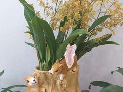 -丽泽山庄·生态怀柔菜·虹鳟鱼(红螺寺店)