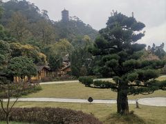 -缙云山景区