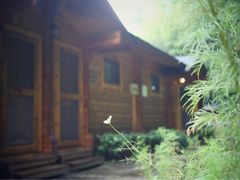 -宁波余姚老柿林山居度假村