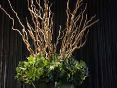 -春晖园度假酒店温泉