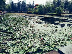 -四川大学(望江校区)