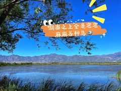 -野鸭湖国家湿地公园