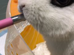 -雨林宠物医院 非犬猫异宠专科