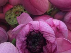 -南京金牛湖风景区