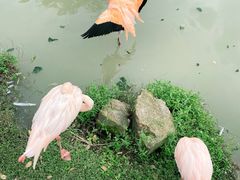 -上方山森林动物世界
