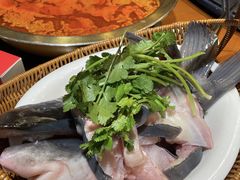 -老凯俚酸汤鱼(多彩城店)