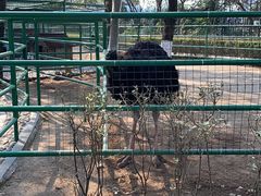 -漓咖啡西餐厅 · 桂林香格里拉