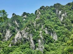-王顺山国家森林公园
