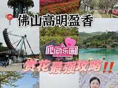-盈香心动乐园