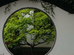 -上海醉白池公园