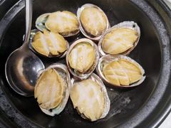 -蛇口市场