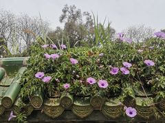 -子曰·礼茶居(壬丰大厦店)