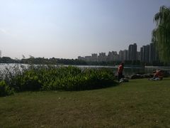 -南翔镇银翔湖公园