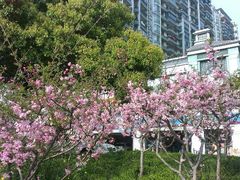 android_upload_pic-车水马龙3M汽车贴膜冠军店隐形车衣改色膜(漕宝路中环店)