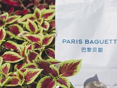 -巴黎贝甜(五道口店)