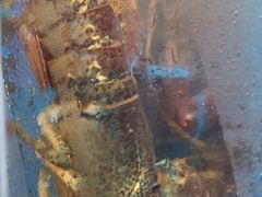 -宾朋海鲜特色美食餐厅·纯手工鲅鱼水饺(兴海路店)