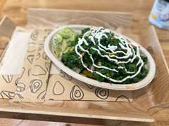 -油梨树 AVOCADO TREE(亮马桥店)