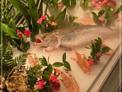 -Mr·Fish鱼鲜生海鲜放题(银泰in99店)