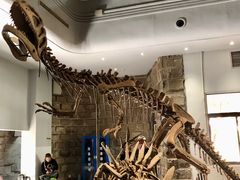 -自贡恐龙博物馆