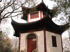 -上海佘山国家森林公园天马山园